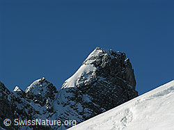 F021620: Hinderi Spillgerte im Winter