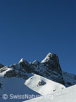 F021622: Winterlandschaft mit Spillgerte