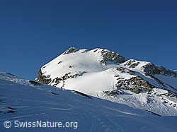 F021626: Vorgipfel der Hinderi Spillgerte