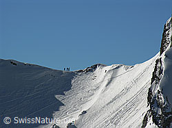F021656: Alpinisten am Rothorn