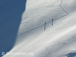 F021662: Schneeschuhläufer im Aufstieg über die Wildgrimmi.