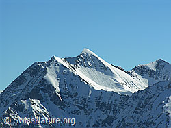 F021666: Männliflue, Winterhorn und Erbithore vom Ankestock