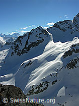 F021669: Rothorn vom Ankestock