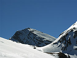 F021708: Rothorn, Diemtigtal