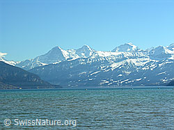 F021779: Thunersee mit Eiger, Mönch und Jungfrau