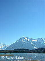 F021790: Berner Oberland: Niesen und Thunersee