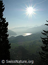 F021802: Simmeflue: Thunersee und Berner Alpen