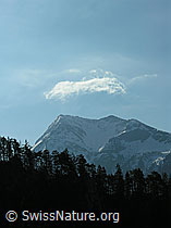 F021827: Chrindi: Kleine Wolke über dem Niesen