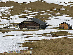 F021843: Alphütte auf Alp Obers Heiti