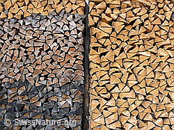 F021845: Gespaltenes und aufgeschichtetes Holz