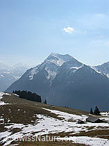 F021850: Heitihubel: Niesen