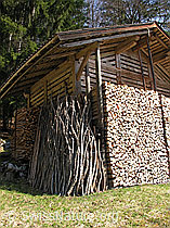 F021882: Gespaltenes Holz und Äste