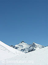 F022251: Albrunhorn zwischen Schneeflanken