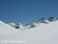 F022253: Albrunhorn, Bochtehorn, Seewischhorn, Schinhorn