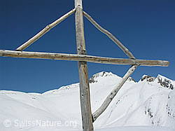 F022266: Gipfelkreuz auf dem Holzerspitz
