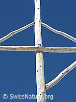 F022271: Gipfelkreuz auf dem Holzerspitz