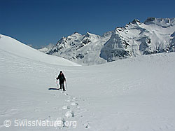 F022298: Schneeschuhtour Gandhorn