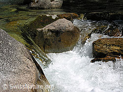 F022586: Sprudelndes Wasser zwischen Felsblöcken