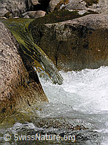F022597: Bergbach mit Felsen und sprudelndem Wasser