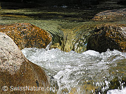 F022604: Klares, sprudelndes Wasser in Bergbach