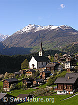 F022724: Bergdorf Ernen im Sommer