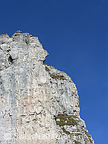 F022746: Brünnligrind