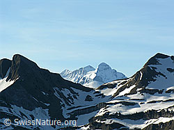 F022770: Allgäulücke, Rosenhorn, Mittelhorn, Wetterhorn, Schnierenhörnli