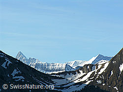 F022772: Finsereraarhorn und Ochs