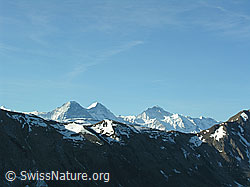 F022786: Hohgantgebiet: Eiger, Mönch, Jungfrau und Brienzergrat