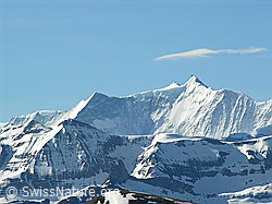 F022810: Ochs, Hinter Fiescherhorn und Gross Fiescherhorn