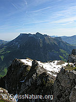 F022815: Hohgant: Schrattenfluh