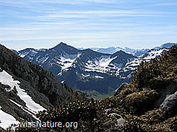 F022836: Tannhorn, Brienzergrat