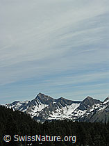 F022933: Tannhorn, Berner Voralpen