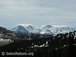 F022944: Alp Ällgäuli: Eiger, Mönch und Jugfrau