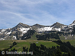 F022966: Tannhorn und Ällgäuhorn (Brienzergrat).