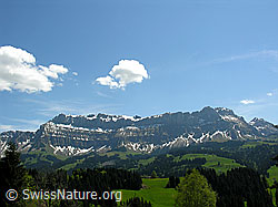 F022981: Furggengütsch, Hohgant West,Trogenhorn und grüne Wiesen