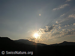 F023054: Sonnenaufgang über Steinige Matte