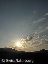 F023055: Morgenstimmung über der Steinige Matte