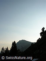 F023068: Hohgant West mit Morgenstimmung