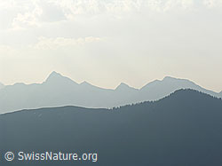 F023072: Morgenstimmung mit den Konturen des Tannhorn