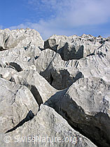 F023104: Karrenfeld an den Sieben Hengsten