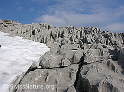 F023113: Karstlandschaft mit Schneefeld