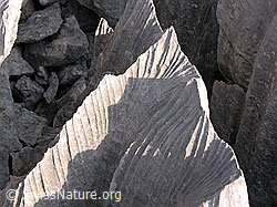 F023118: Scharfe Kalkfelsen in Karstlandschaft