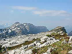 F023122: Karrenfeld im Gipfelbereich der Sieben Hengste