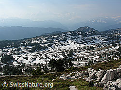 F023123: Sieben Henste: Karrenfelder und Seefeld
