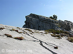 F023146: Karstlandschaft mit Felskopf an den Sieben Hengsten