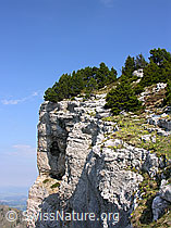 F023147: Felskopf an den Sieben Hengsten