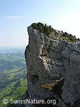 F023148: Felskopf an den Sieben Hengsten. Tiefblick ins Eriz