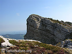 F023149: Felskopf an den Sieben Hengsten