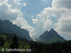 F023216: Sichle mit Quellwolken